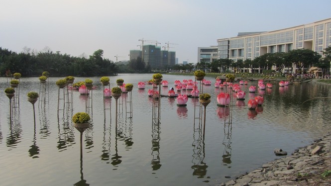 Phú Mỹ Hưng bừng sáng với hội hoa xuân - ảnh 1